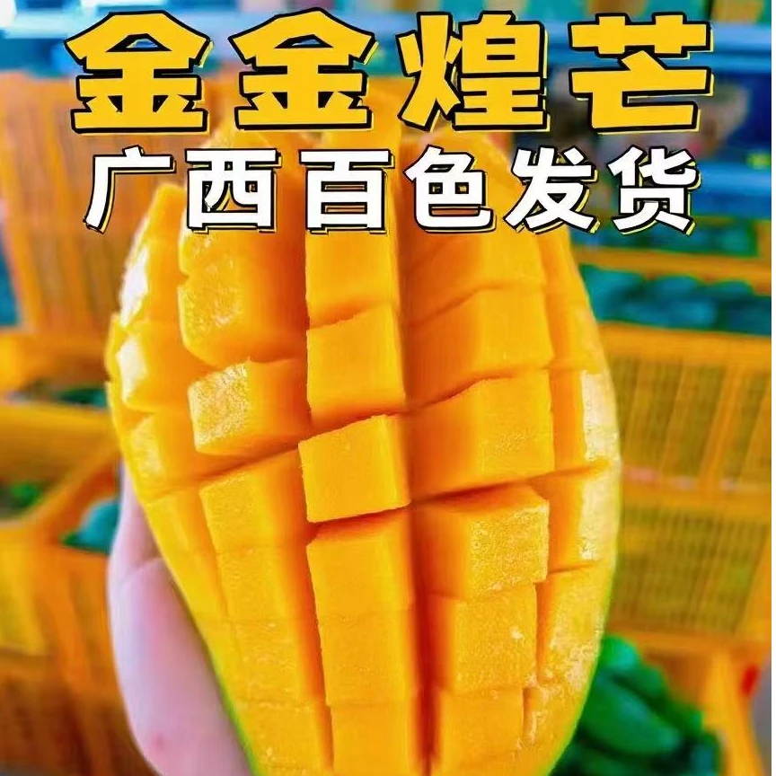 正宗广西百色青皮金煌芒新鲜应季水果香甜多汁