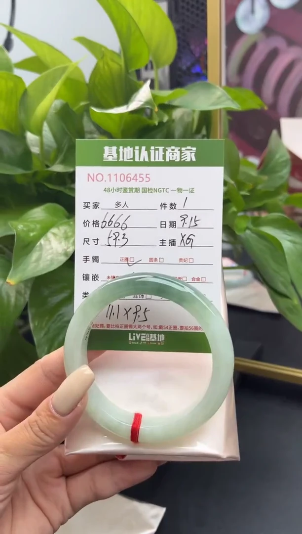 未镶嵌手镯翡翠多样性拍一发一