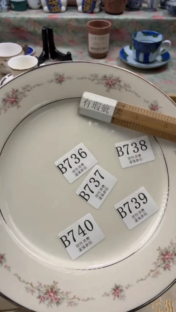 瓷片一**光       B737