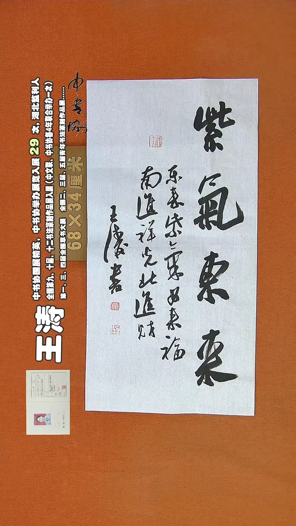 【闪购商品】书法761a王涛书法作品