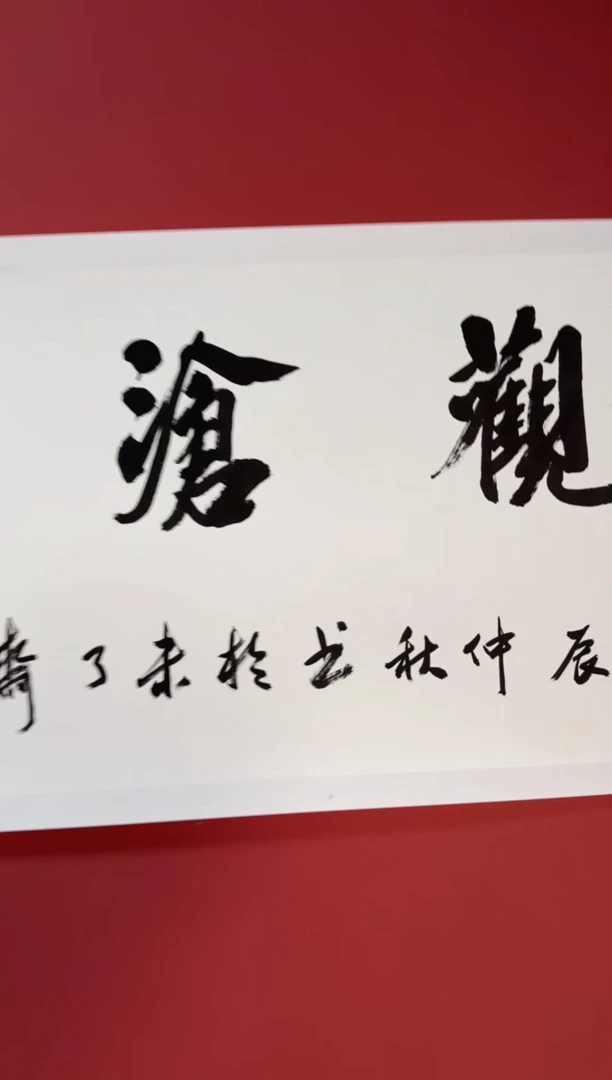 书法观沧海书法11