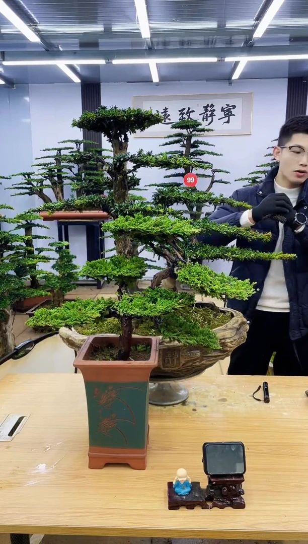 【闪购商品】00000000