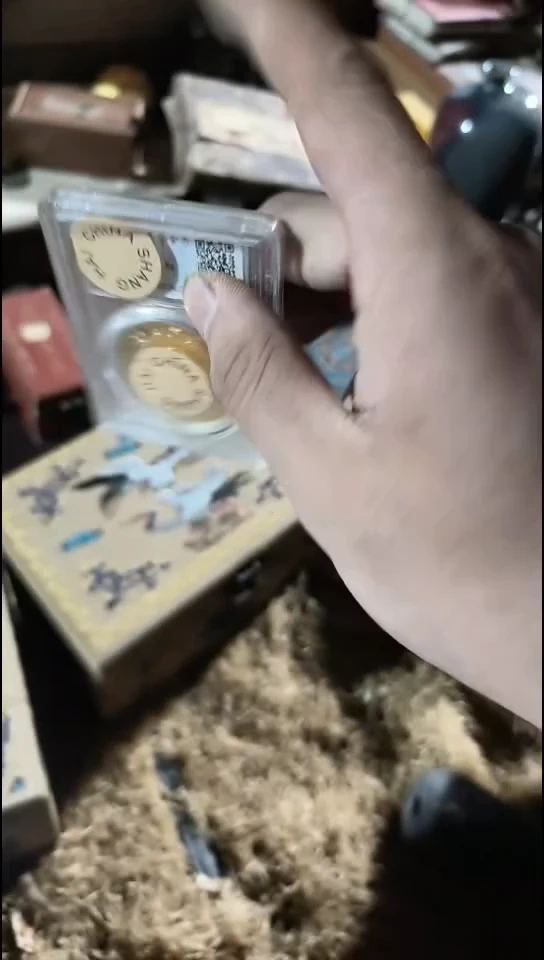 香榧木（1个小黄评圆）
