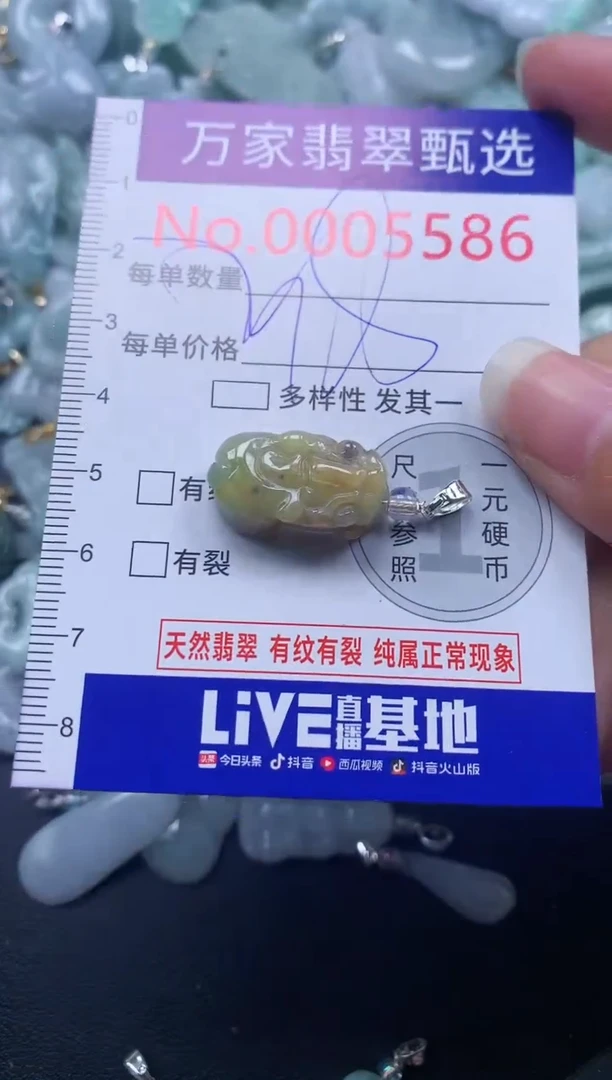 颈饰未镶嵌翡翠5586