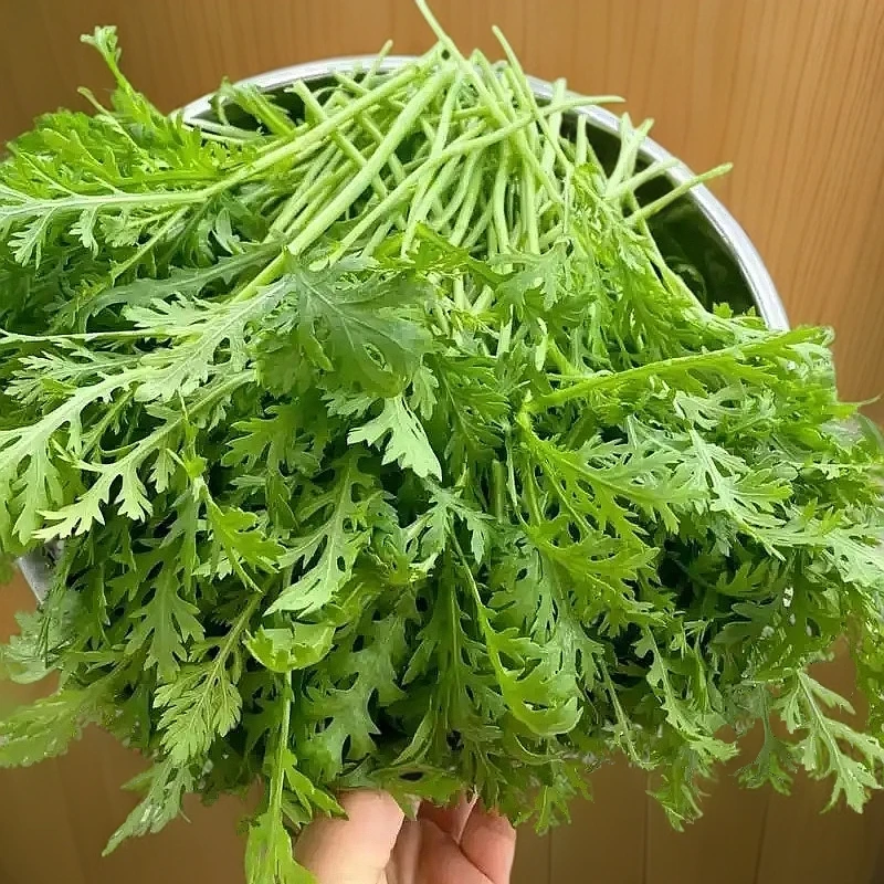 【蒿子梗➕菠菜】净重共3斤 北京本地菜绿色蔬菜