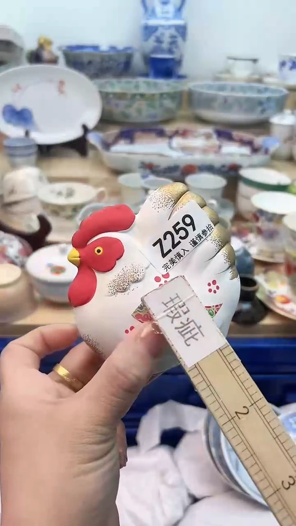 【闪购商品】瓷片259