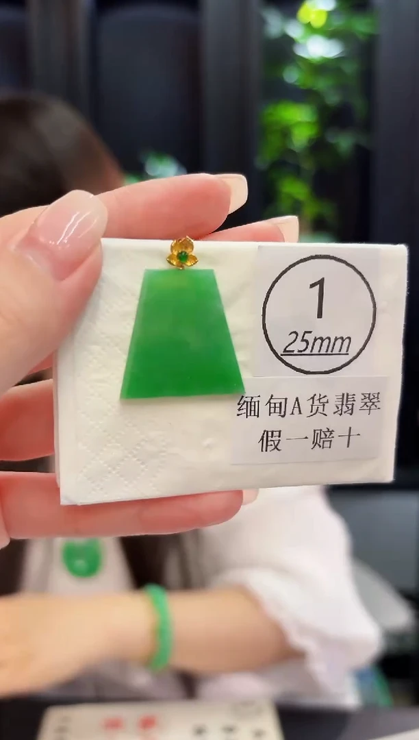 颈饰18K金镶嵌翡翠 缅料A货/支持复检/一件