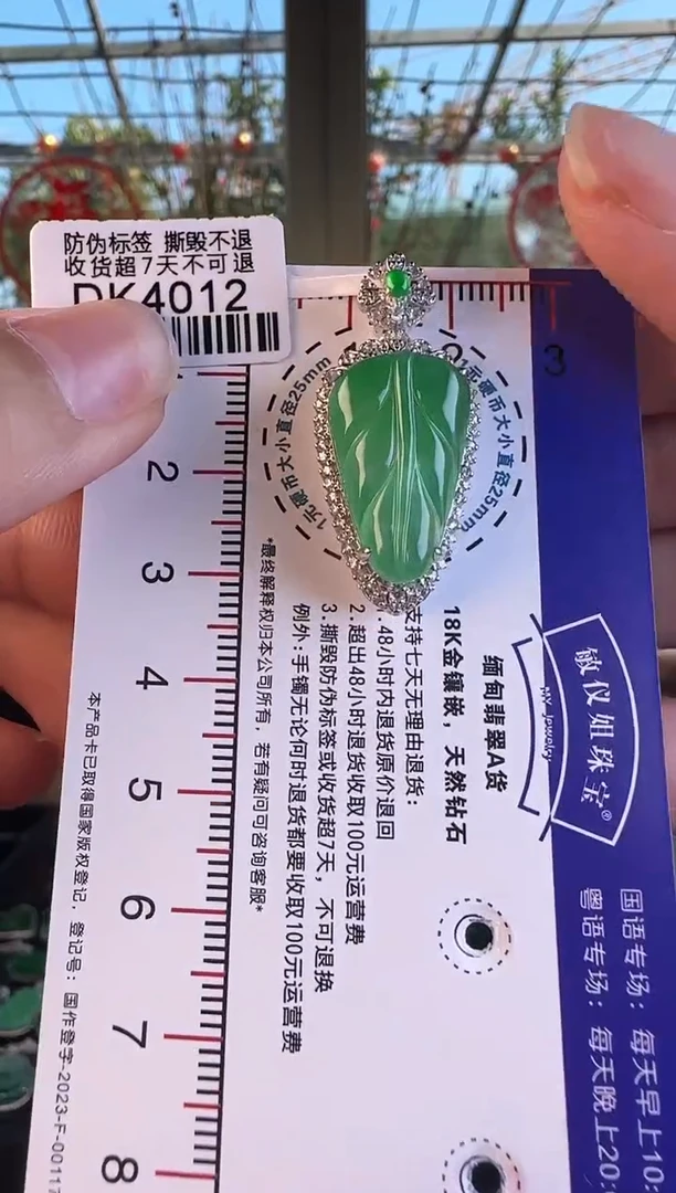 【闪购商品】翡翠颈饰18K金镶嵌DK4012冰绿叶子