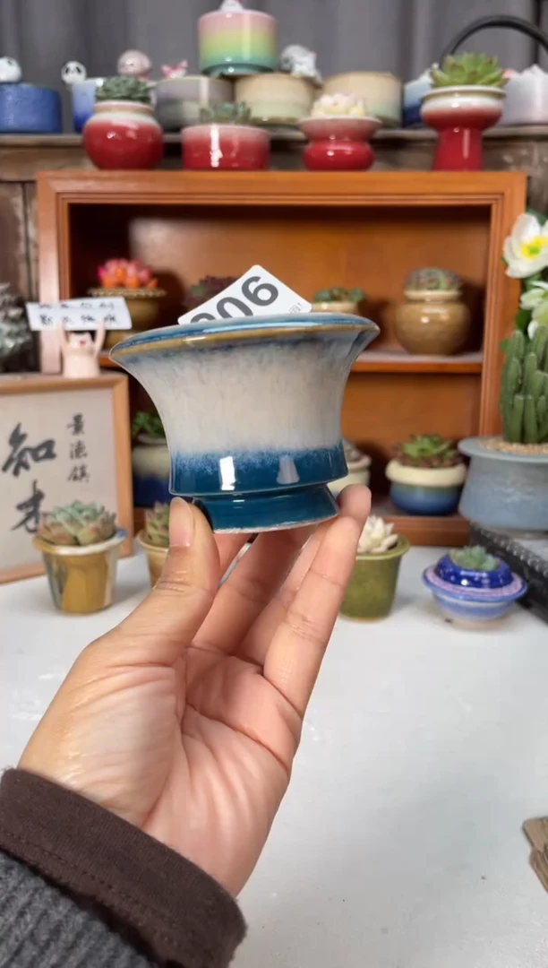 瓷片206知木小芳花盆直播编号