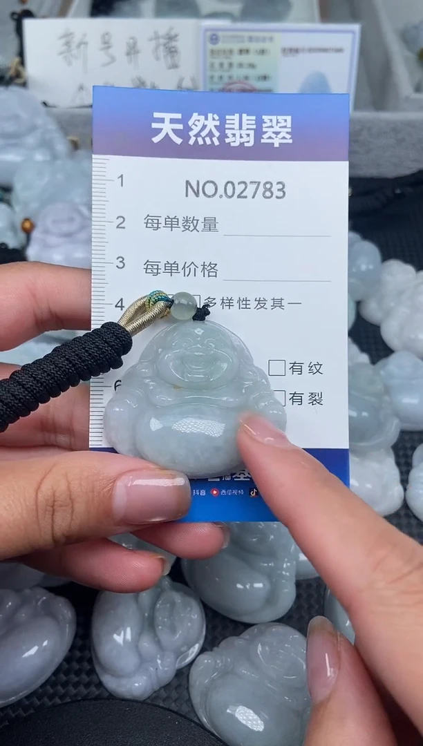 颈饰未镶嵌翡翠纯天然A货翡翠2783