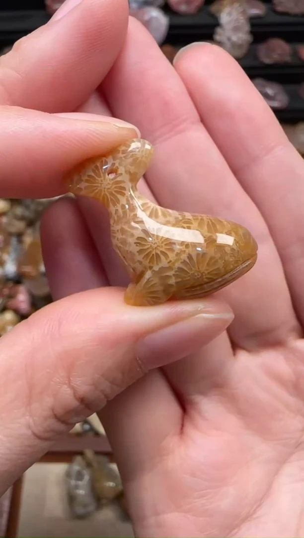 颈饰未镶嵌硅化珊瑚（珊瑚玉）180
