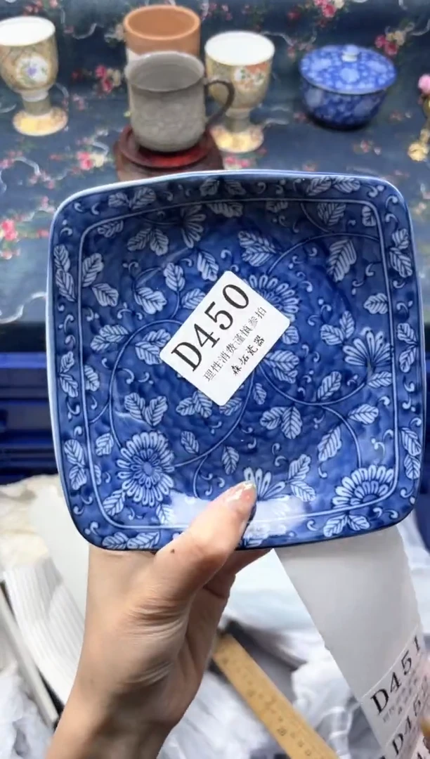 瓷片       D458