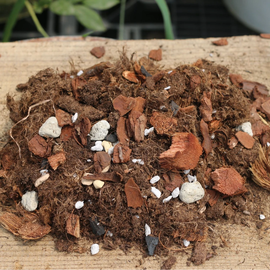 品氏配方土通用营养土粗细泥炭混合大颗粒椰壳轻石木炭疏松透气