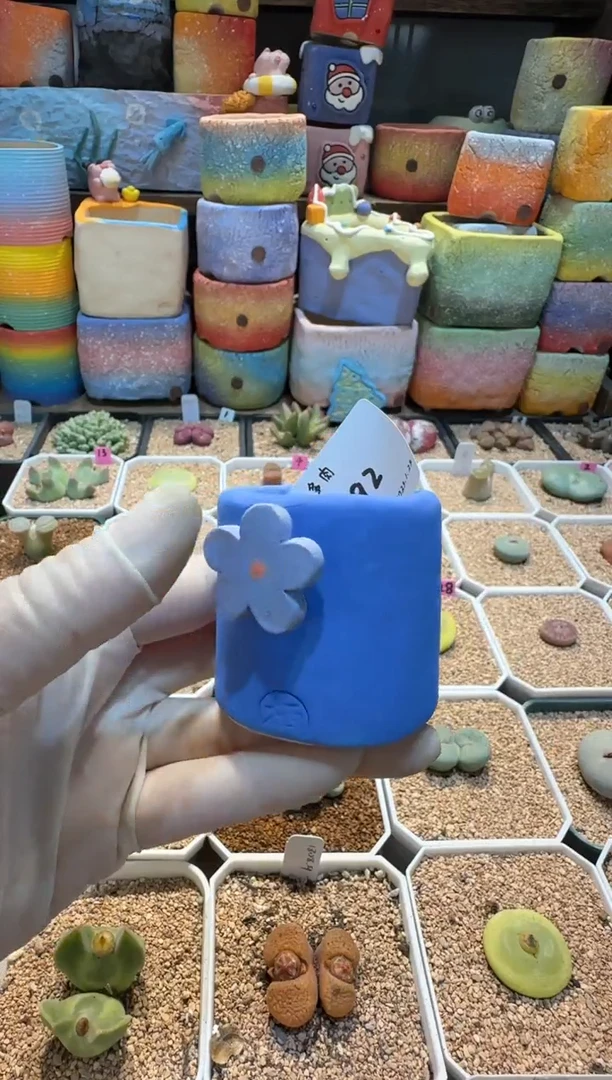 【闪购商品】25.1.25-192