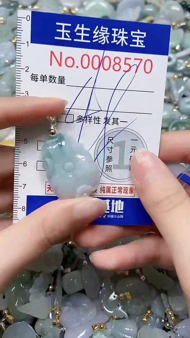 【闪购商品】翡翠颈饰未镶嵌闪购00008570