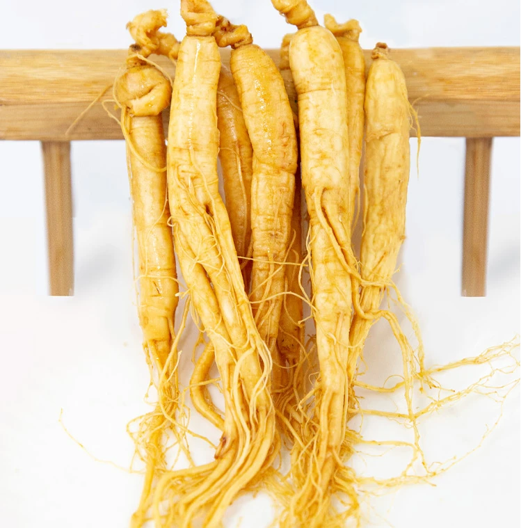 长白山人参保鲜参独立真空包装鲜人参