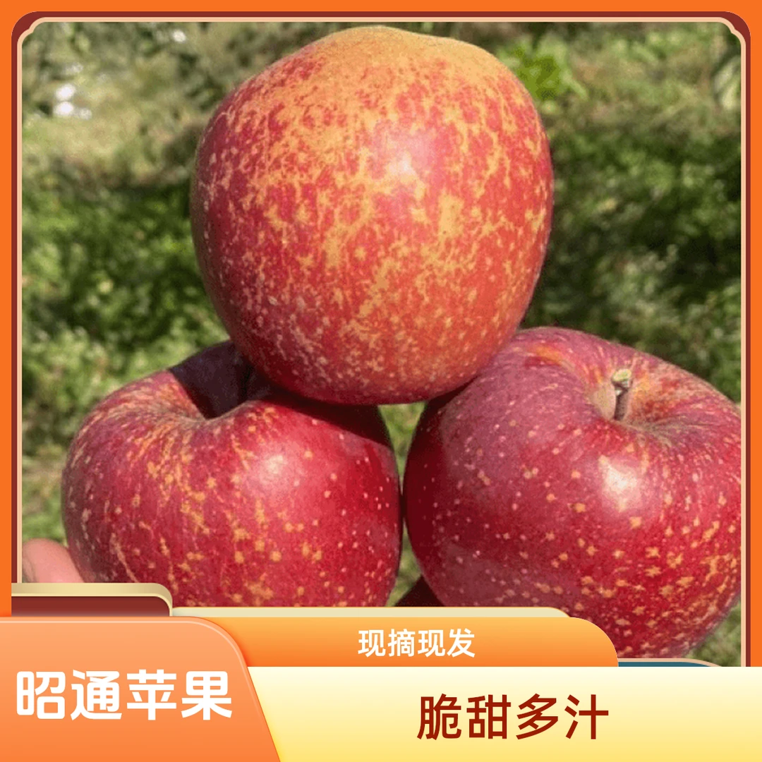 云南昭通冰糖心丑苹果现摘现发脆甜多汁