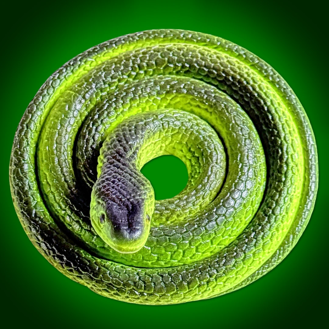 软胶仿真蛇竹叶青眼镜蛇白蛇传小青蛇过家家玩具假蛇动物模型