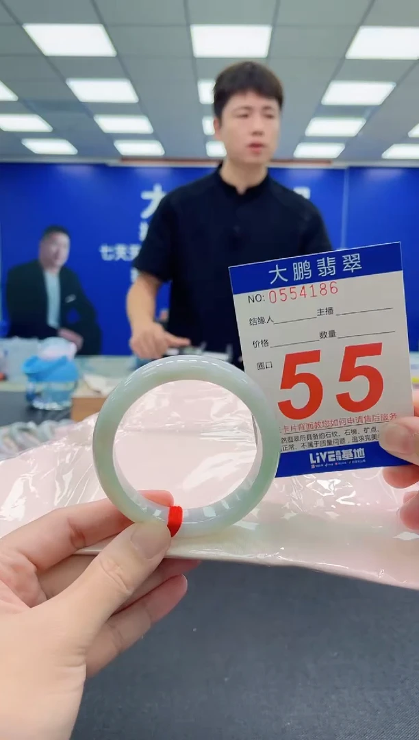 未镶嵌手镯翡翠AAAAAAAAA