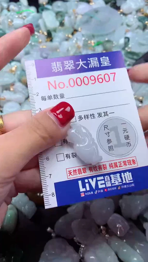 颈饰未镶嵌翡翠9607