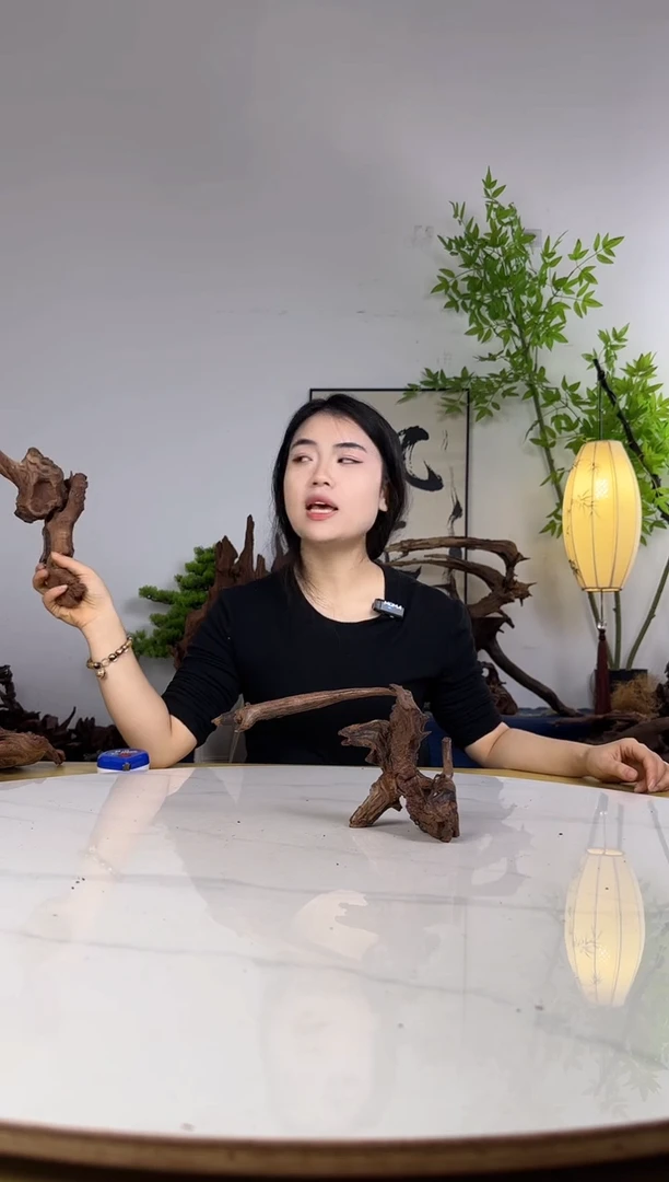 蜻***_拍沉木定向链接编号22