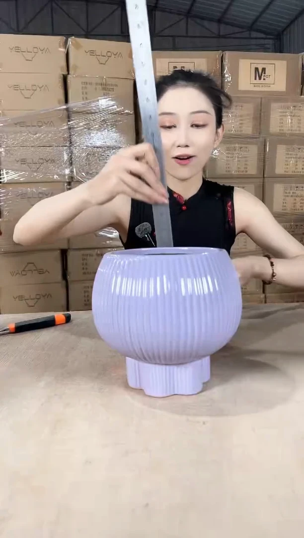 宝莲灯淡紫色17x19