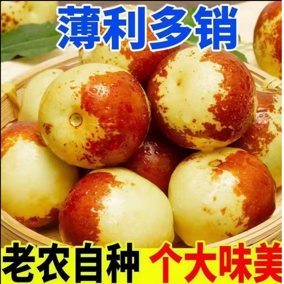 【顺丰次日达】正宗陕西大荔冬枣新鲜应季时令水果鲜枣不甜不脆包赔陕西省A陕西省