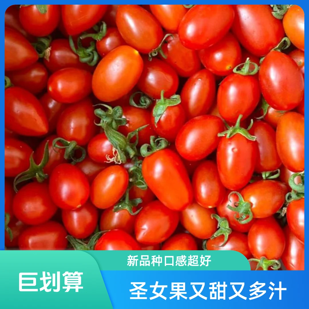 圣女果（新品）