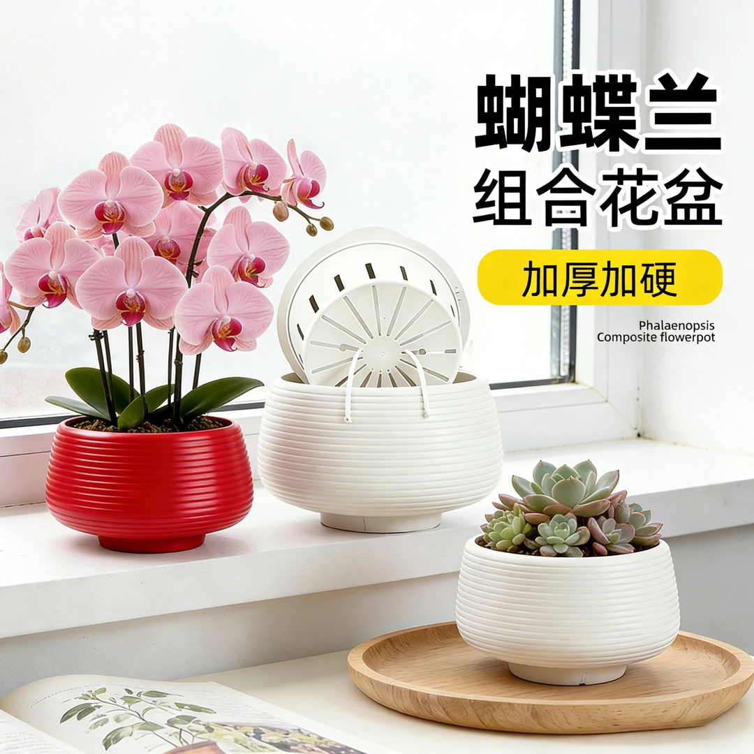 专用蝴蝶兰花盆北欧简约花盆家用蝴蝶兰专用ins风虎皮兰多肉清仓