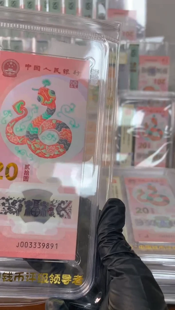 塑料2025蛇钞 真钞 评价封装 标十