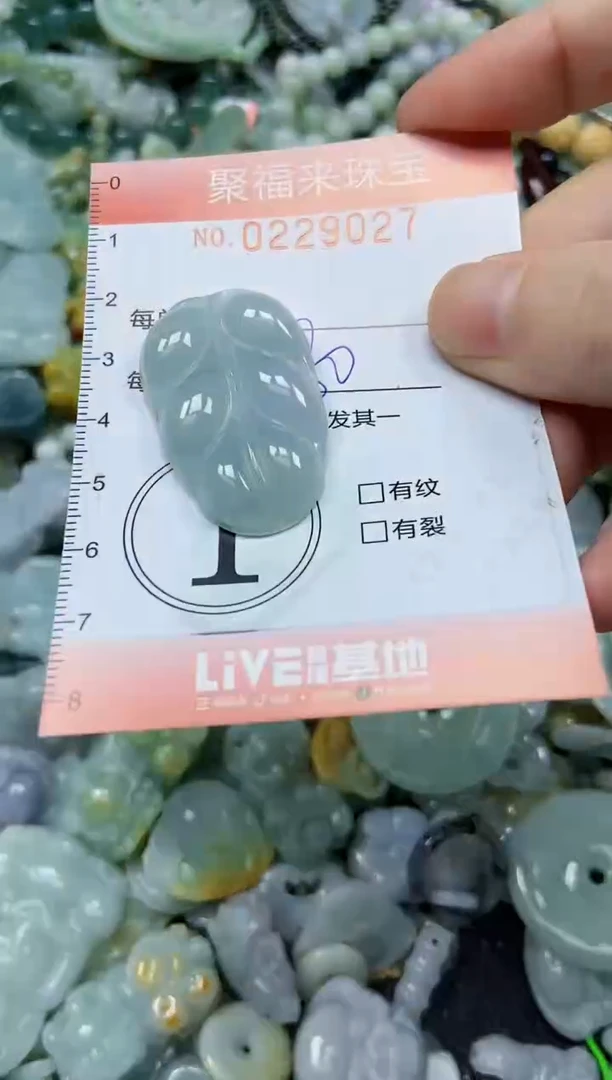 颈饰未镶嵌翡翠闪购0229027