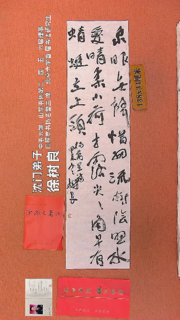 【闪购商品】书法96    徐树良书法作品