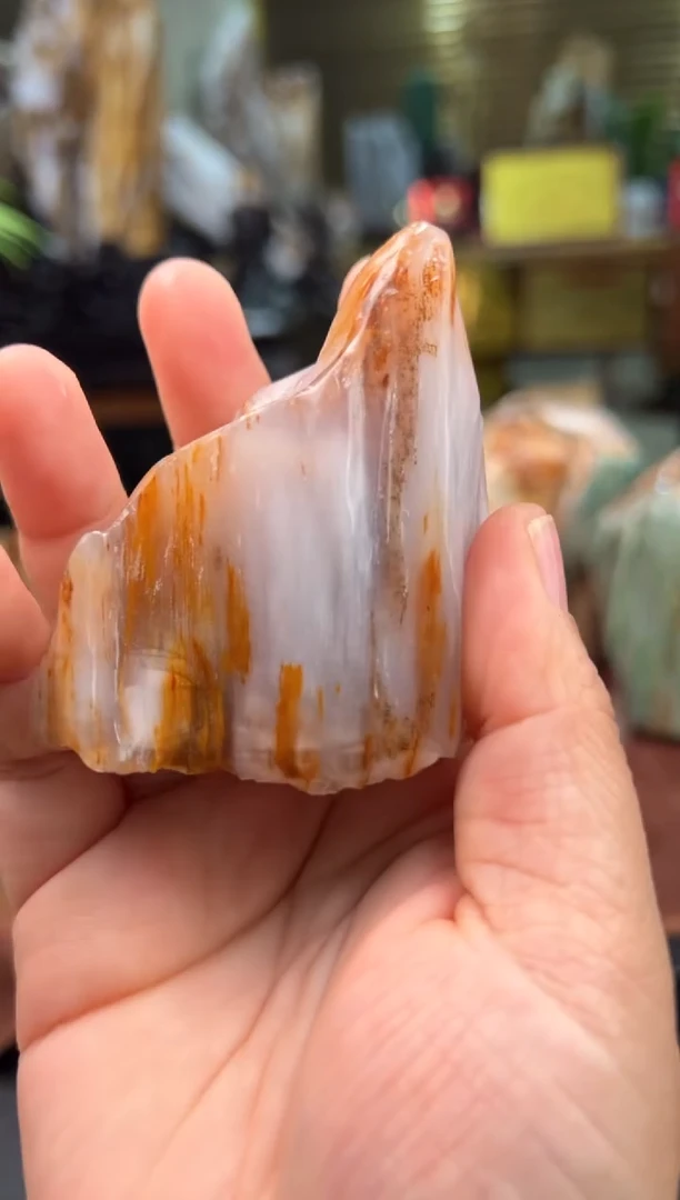 【闪购商品】硅化玉（树化玉）珠宝奇石未镶嵌1021