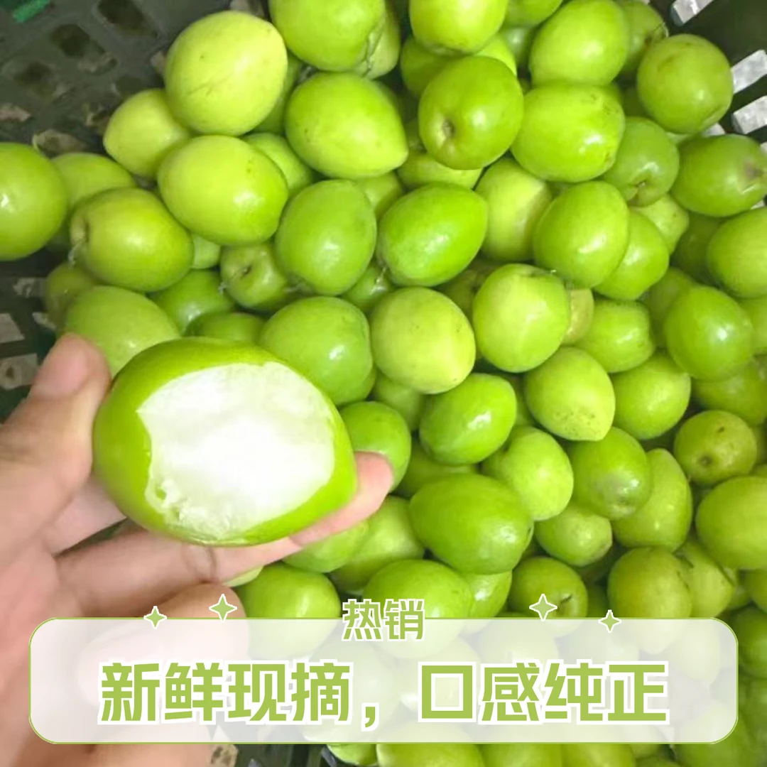 精品大奶枣5斤左右