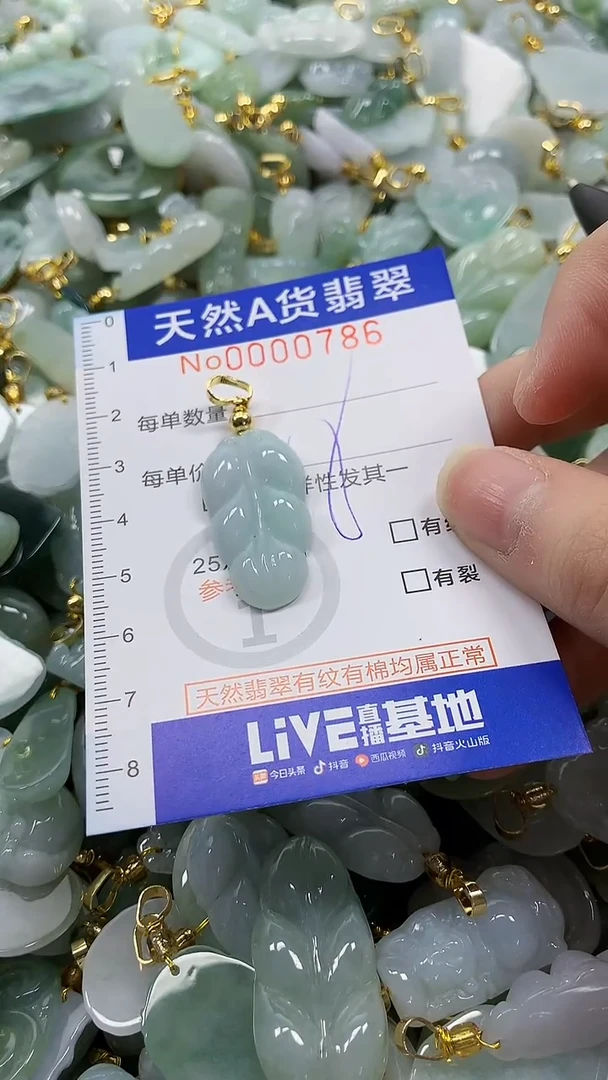 颈饰未镶嵌翡翠纯天然a货翡翠