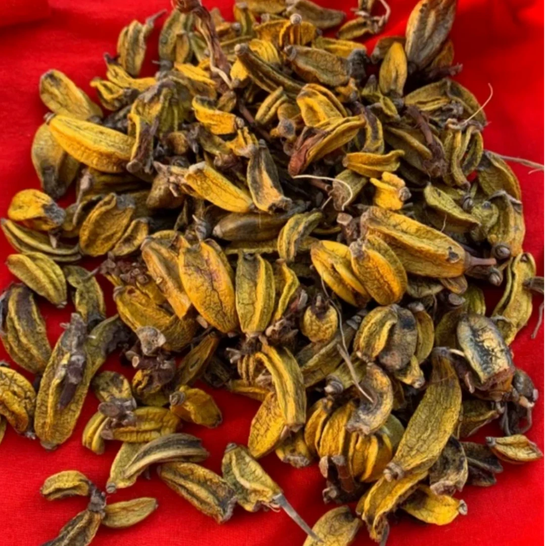 【敏1】初级农产品【玉·枢·丹】150g 250g 可搭配枸杞使用