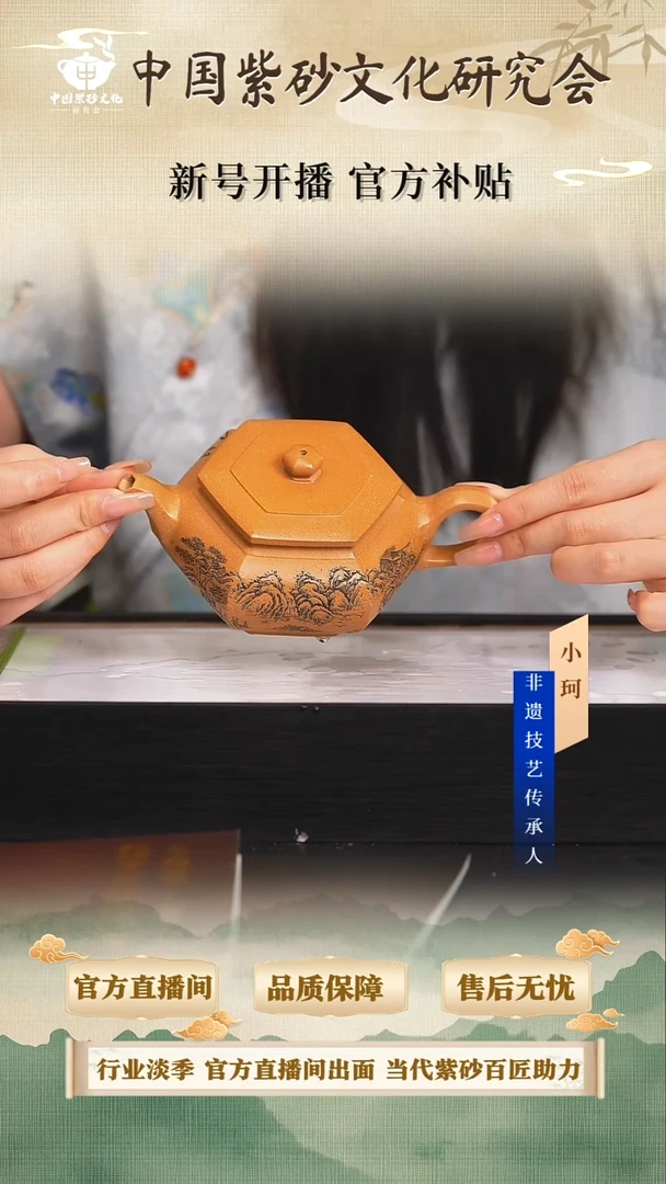 茶壶紫砂陶茶文化范锡军  黄金段280cc左右