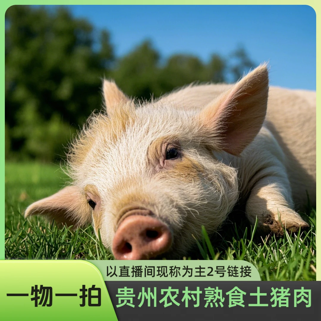 贵州农村熟食土猪肉2号链接