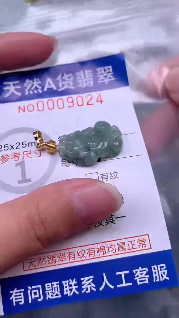 翡翠未镶嵌吊坠(不含链)1