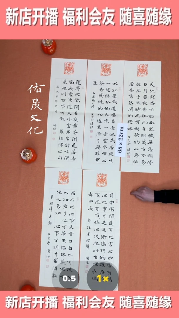 【闪购商品】书法徐老师原创书法作品