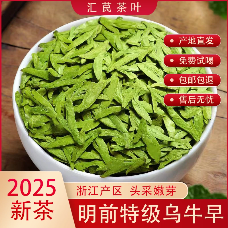 2025新茶乌牛早龙型扁茶 明前头采嫩芽