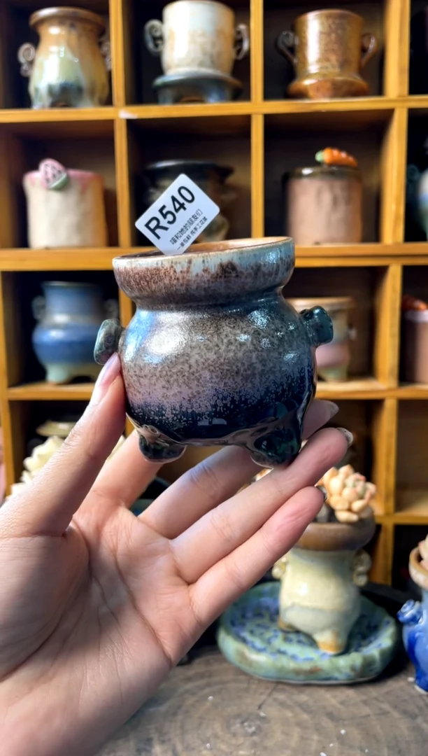 王*三540【多肉花盆多肉盆】