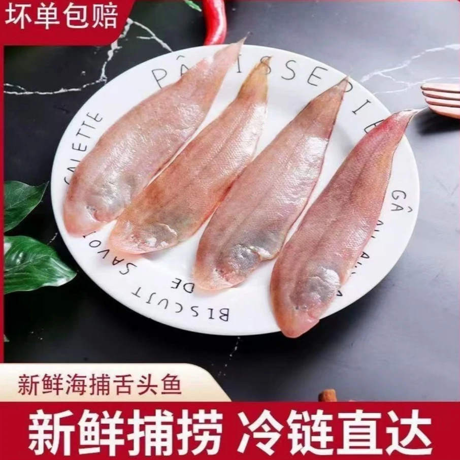 广东新鲜龙利鱼【大号一斤5-7条，小号一斤10条左右，到手五斤】