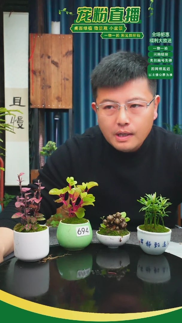 无花朵听*暖苔藓微景观694号