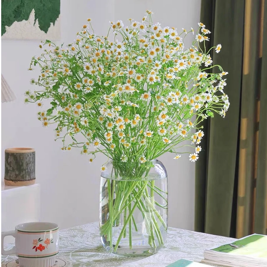 【小清新洋甘菊1扎】全场鲜花任意满两单升级冷链加配草 三单送花瓶