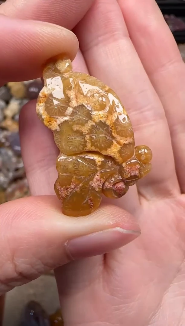 硅化珊瑚（珊瑚玉）未镶嵌颈饰332