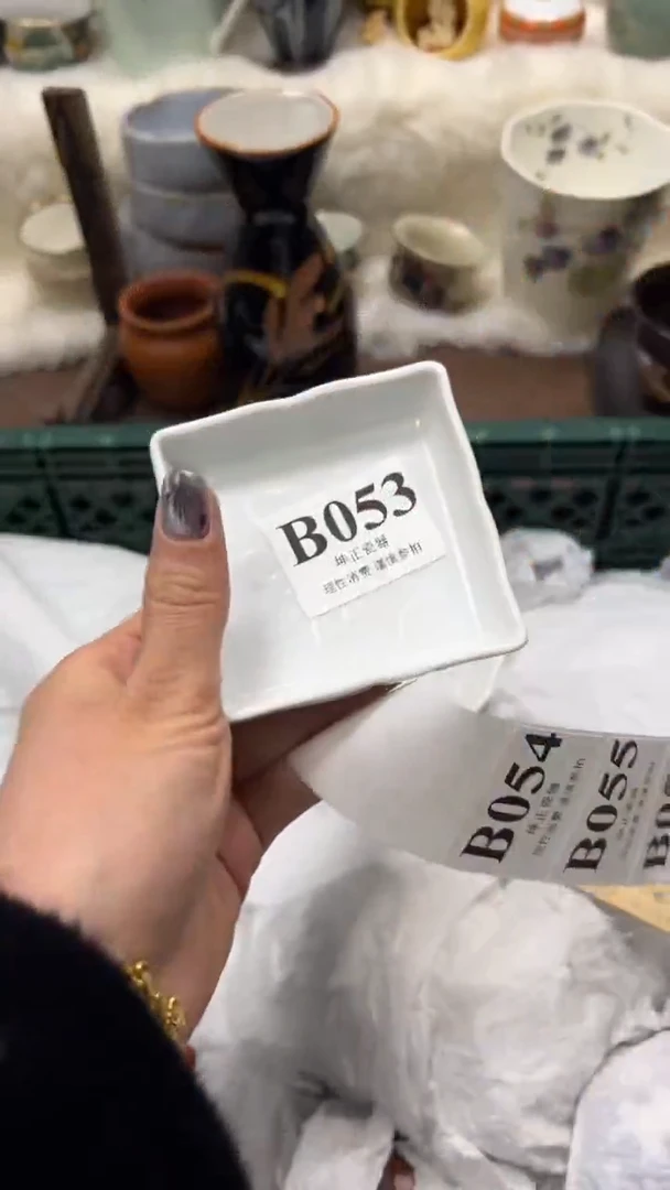 【闪购商品】瓷片          B053