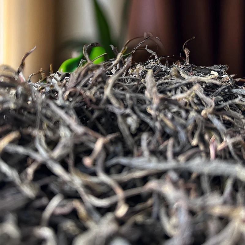 【文乃村茶王树】2024年·头春头采·普洱生茶散料