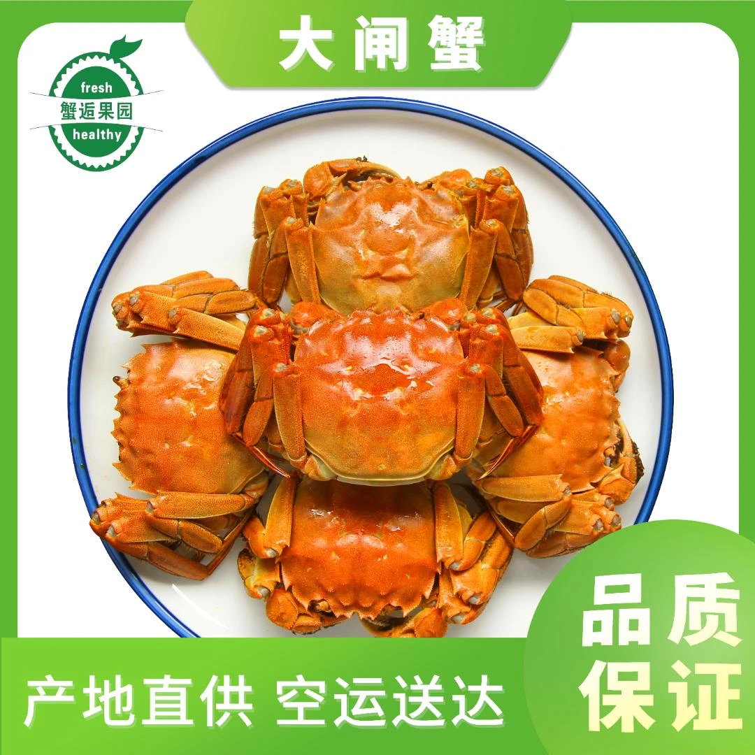 苏州精品大闸蟹全母蟹2.0两10只冷链包邮