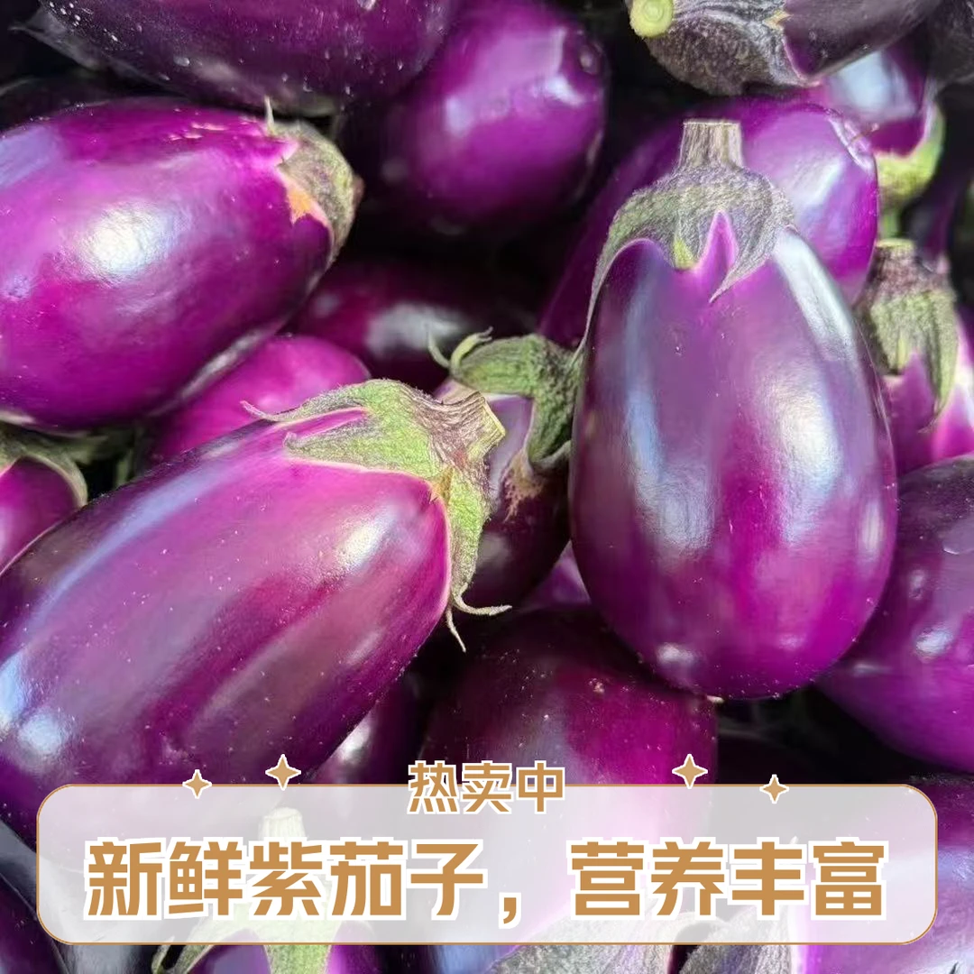 （农家自种）湖南现摘紫皮灯泡茄子新鲜软糯时令薄皮茄子